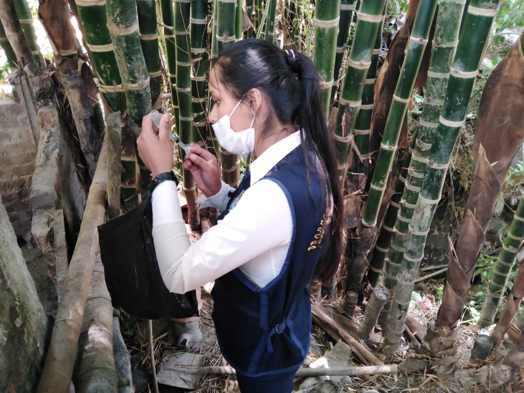 Producción Agropecuaria