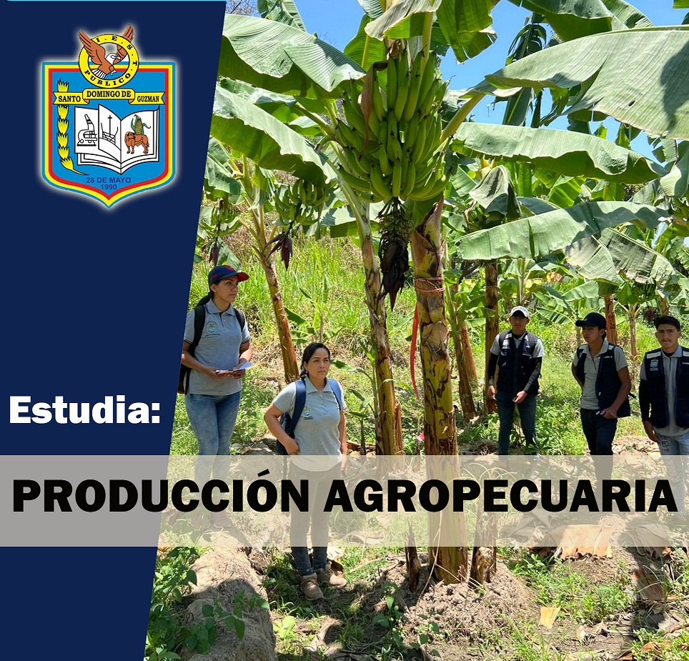 Producción Agropecuaria